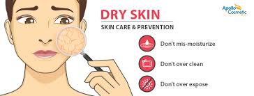 dry skin image one