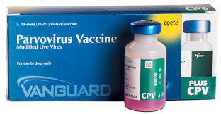 Parvovirus Vaccine