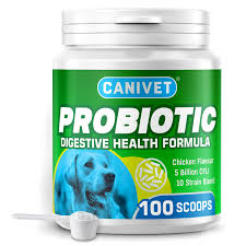 Probiotics Supplement